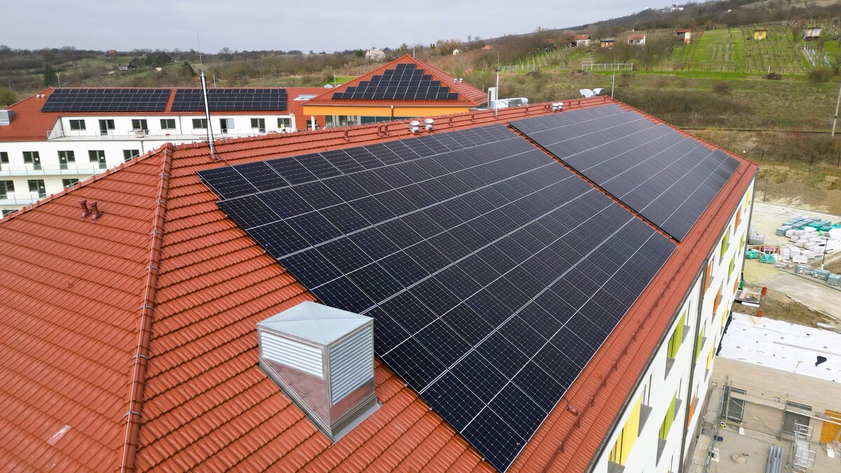 Carporio_Cézava_FVE