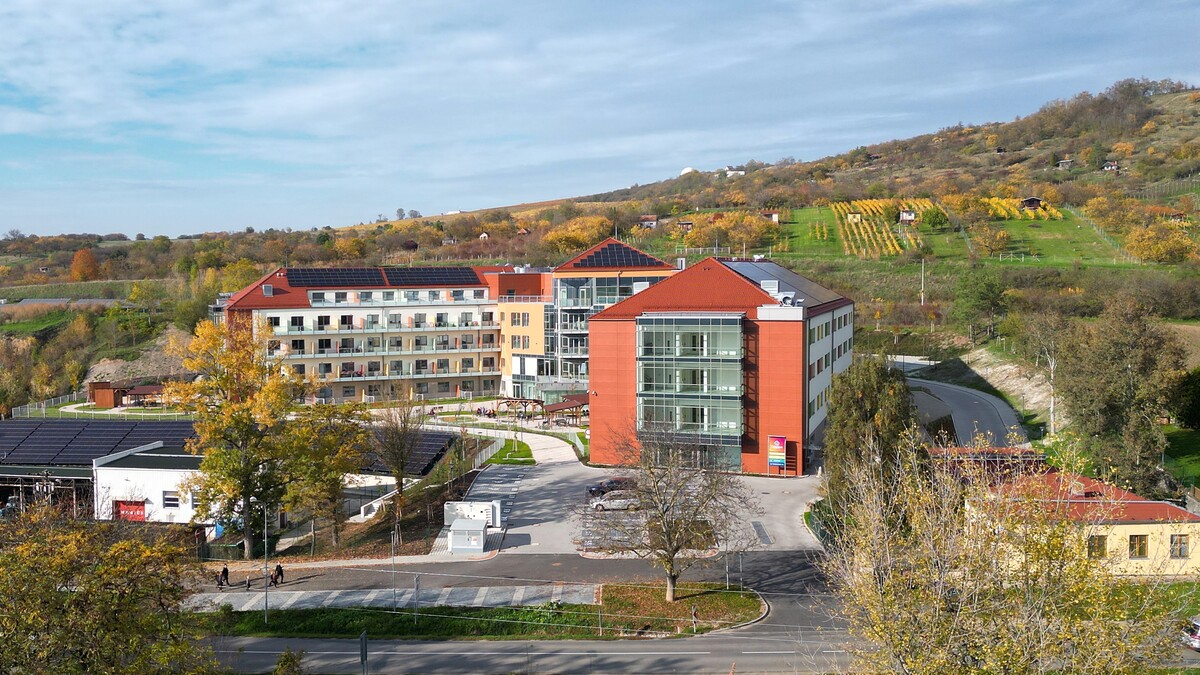 Carporio_Cézava_FVE